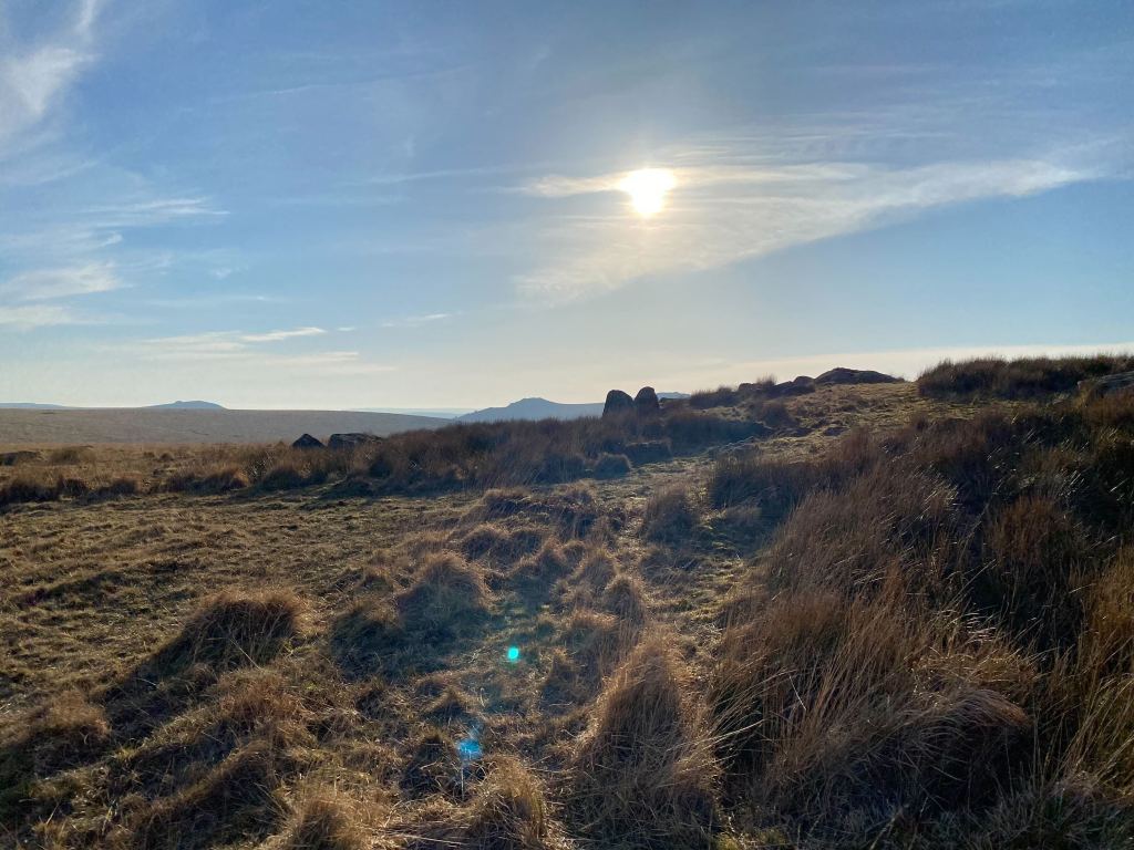 1.11.2024 Walkers stuck in mud, south of Bellever&nbsp;Tor.